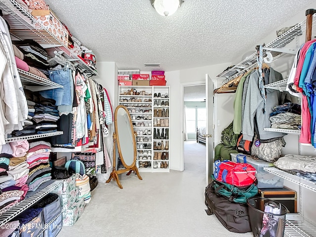 view of walk in closet