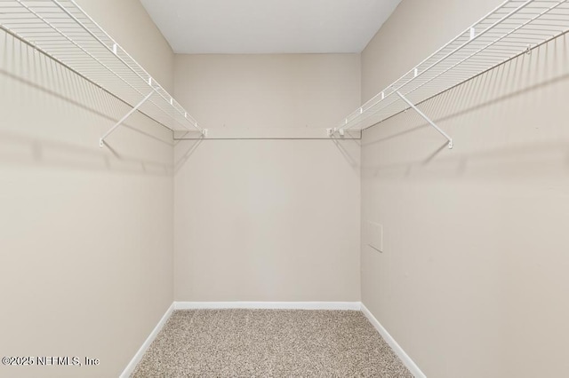 walk in closet featuring carpet