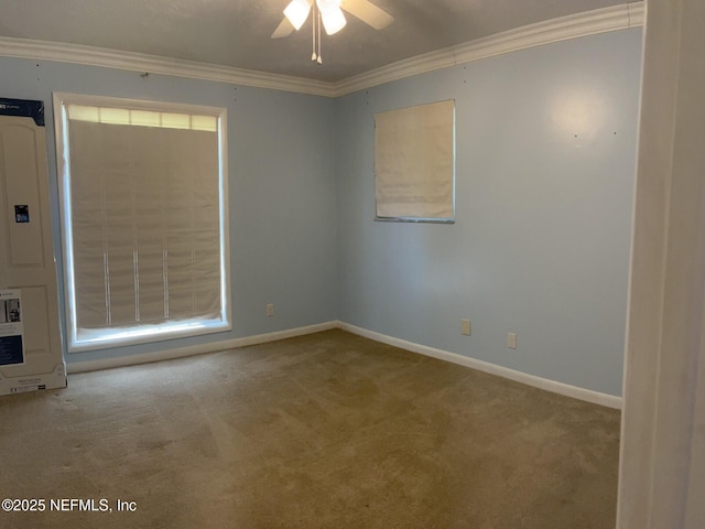 unfurnished room with baseboards, carpet, a ceiling fan, and crown molding