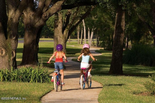 view of property's community with a yard