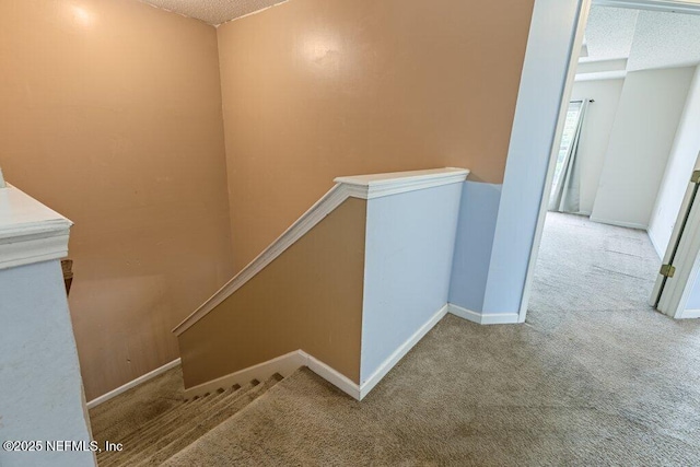 3925 Leatherwood Dr, Orange Park, FL 32065 - stairs featuring carpet flooring, a textured ceiling, and baseboards