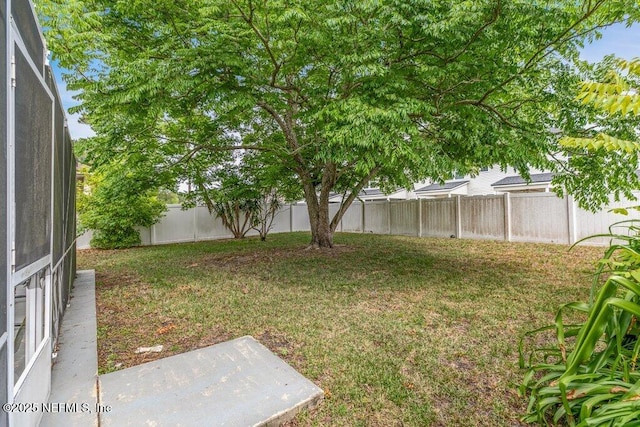 3925 Leatherwood Dr, Orange Park, FL 32065 - view of yard