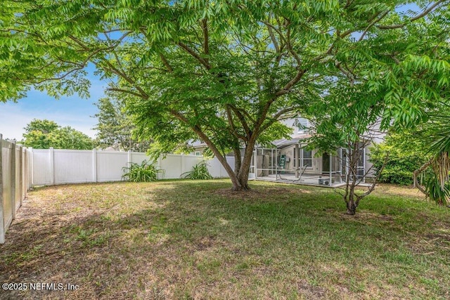 3925 Leatherwood Dr, Orange Park, FL 32065 - view of yard