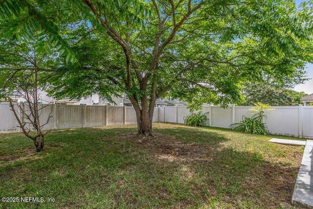 3925 Leatherwood Dr, Orange Park, FL 32065 - view of yard