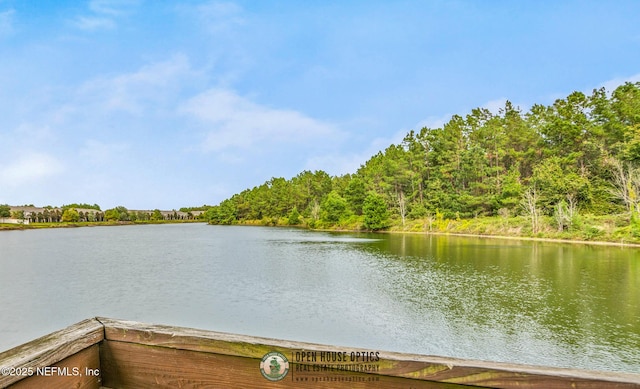3925 Leatherwood Dr, Orange Park, FL 32065 - water view