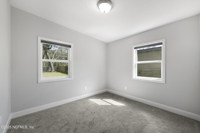 10643 Rutgers Rd, Jacksonville, FL 32218 - photo 22