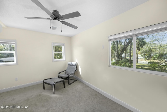10643 Rutgers Rd, Jacksonville, FL 32218 - photo 21