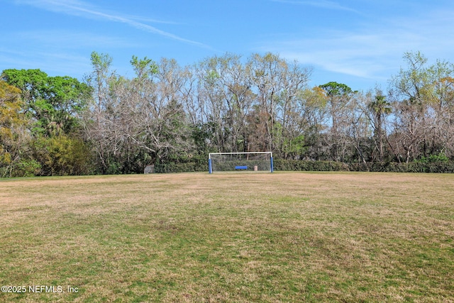view of yard featuring an area for sports