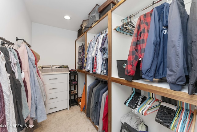 walk in closet with light carpet