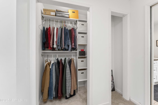 view of closet