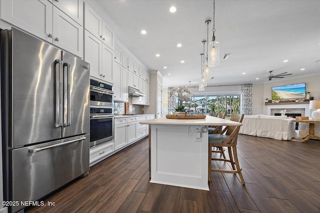 kitchen with under cabinet range hood, open floor plan, appliances with stainless steel finishes, and wood tiled floor