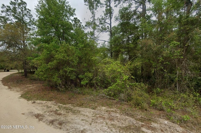 164 Lake Cir, Satsuma FL, 32189 land for sale