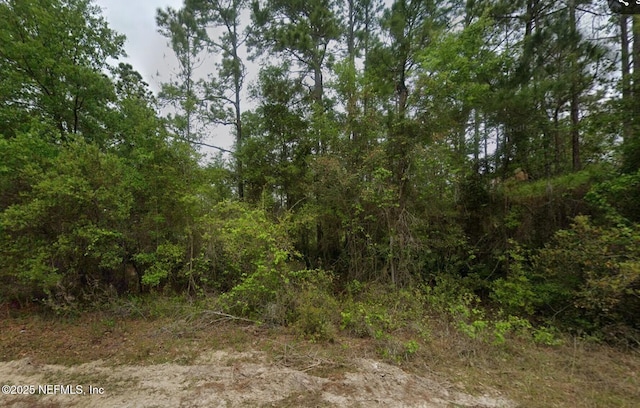 Listing photo 2 for 164 Lake Cir, Satsuma FL 32189