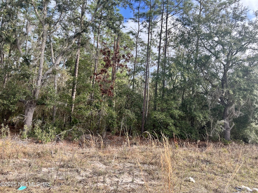 327 Melrose Landing Blvd, Hawthorne, FL 32640