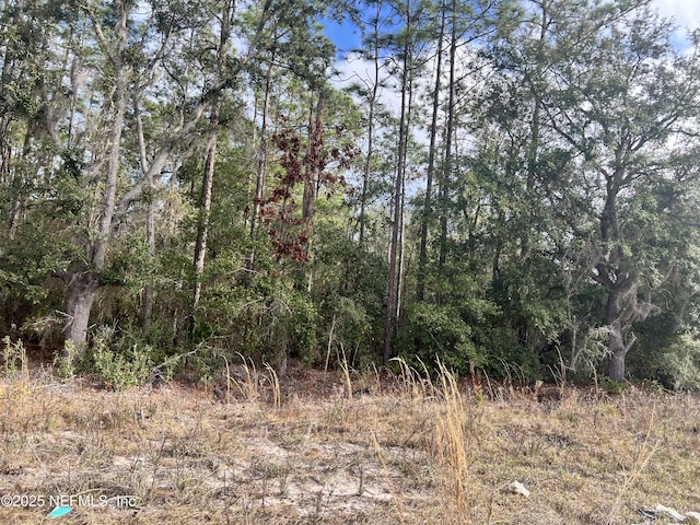 327 Melrose Landing Blvd, Hawthorne, FL 32640