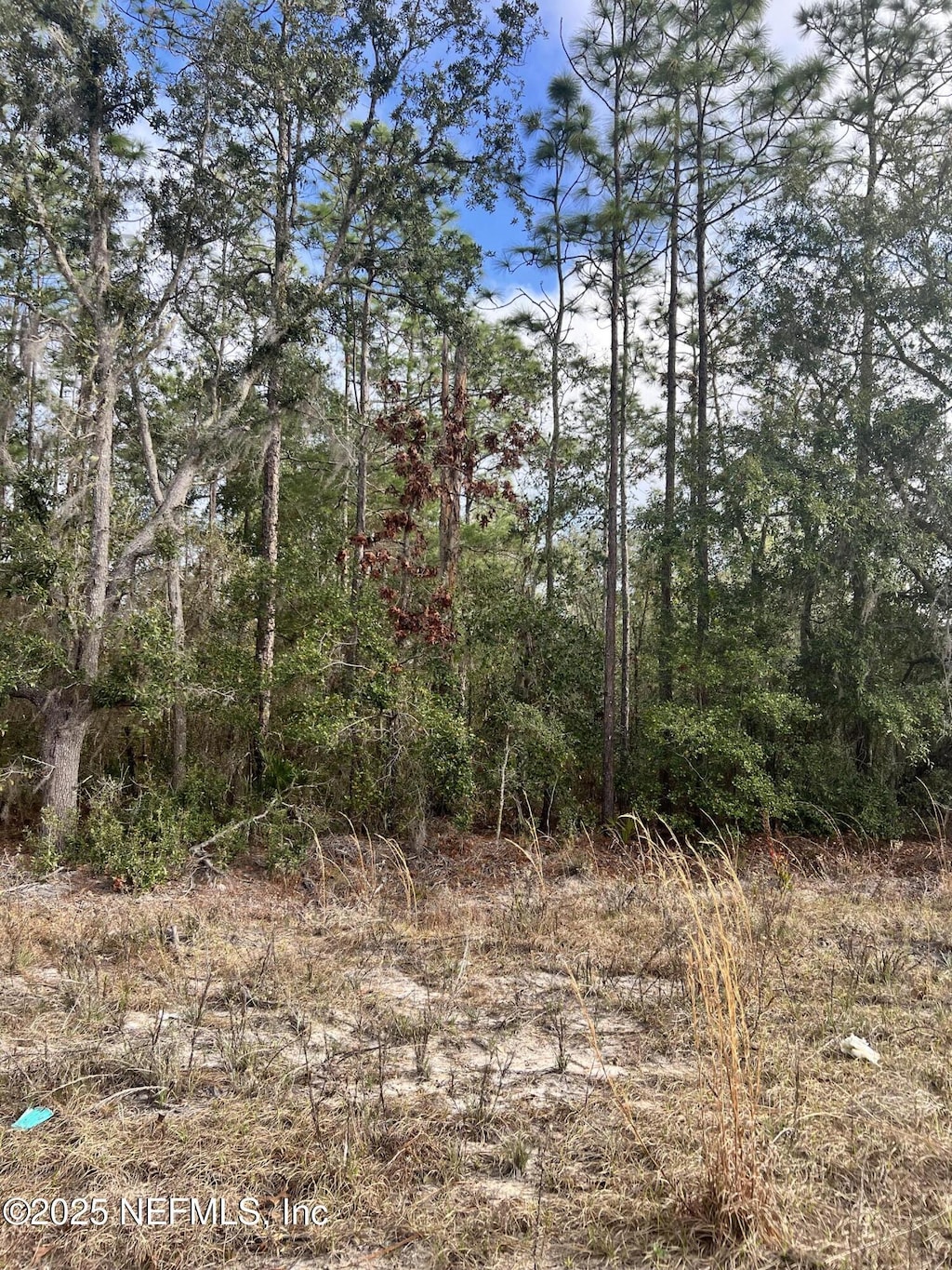 327 Melrose Landing Blvd, Hawthorne, FL 32640