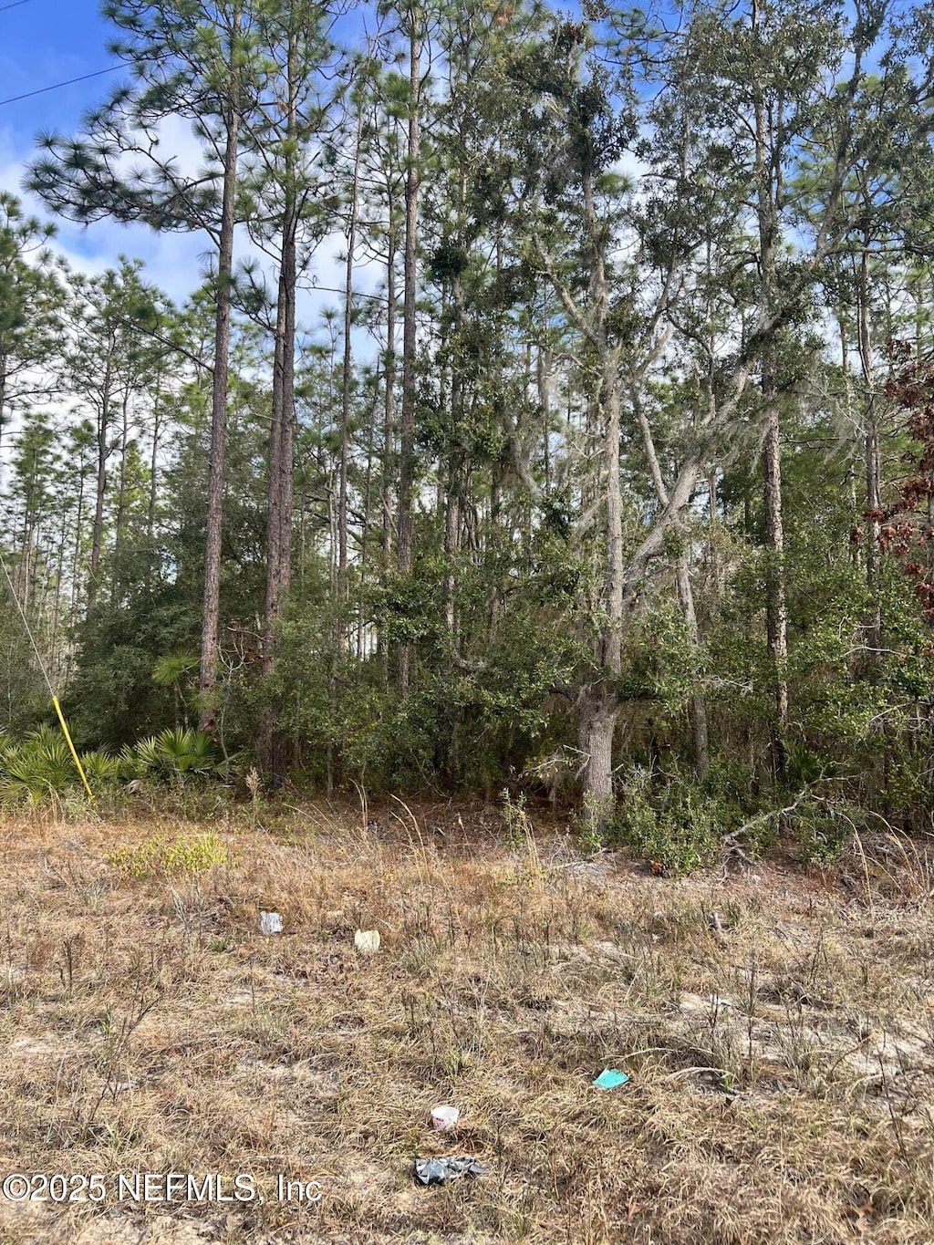 327 Melrose Landing Blvd, Hawthorne, FL 32640