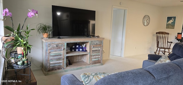 living area with carpet floors and a fireplace