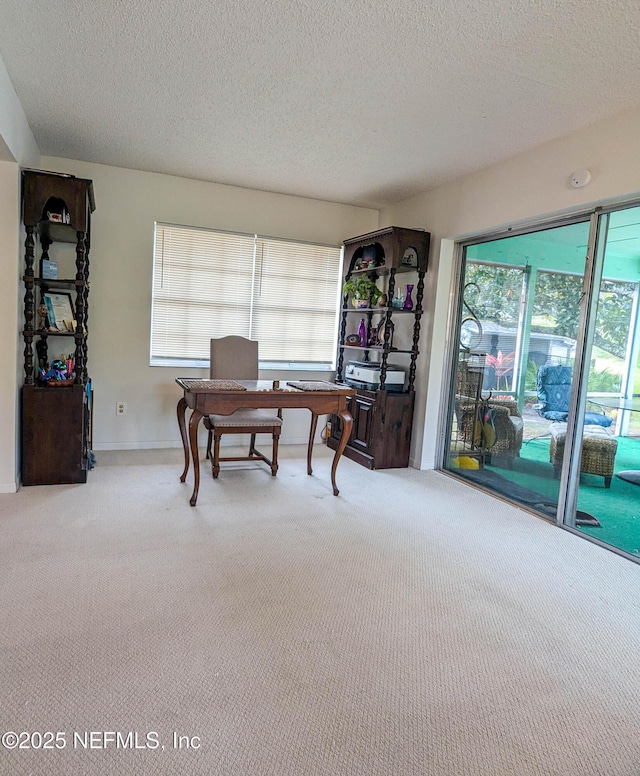 354 Travino Ave, Saint Augustine Shores, FL 32086 - carpeted office space with a textured ceiling