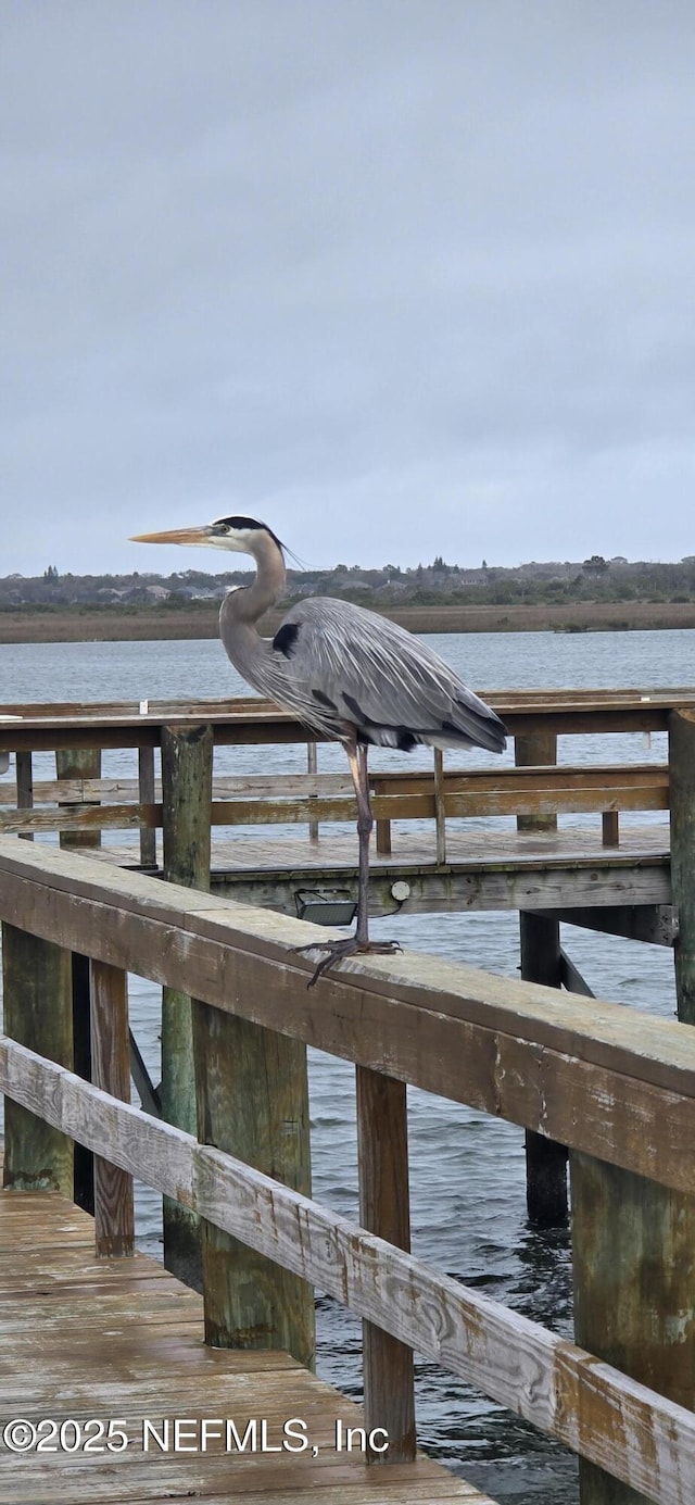 354 Travino Ave, Saint Augustine Shores, FL 32086 - view of dock featuring a water view