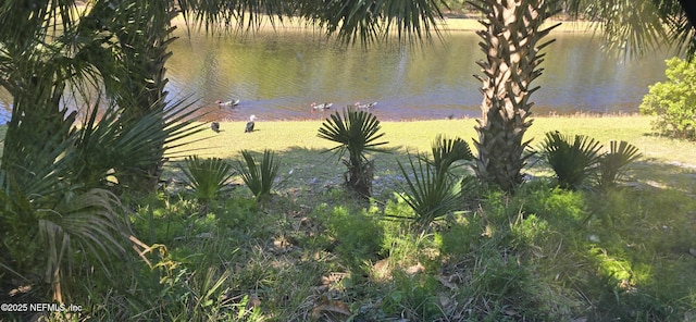 354 Travino Ave, Saint Augustine Shores, FL 32086 - view of water feature