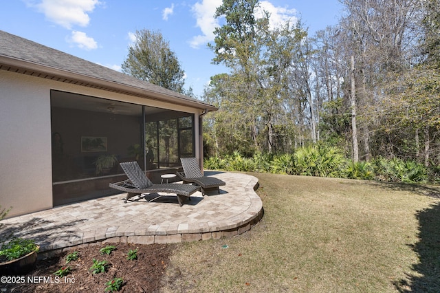 view of yard featuring a patio and a sunroom