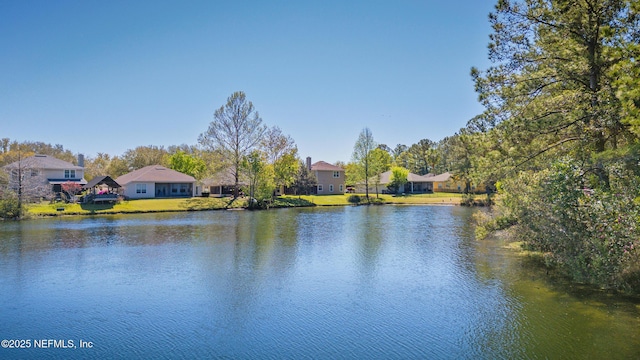 3530 Laurel Leaf Dr, Orange Park, FL 32065 - photo 37
