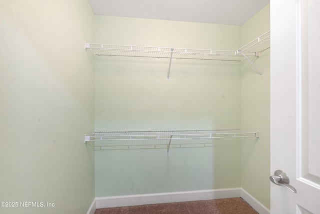 525 3rd St N Unit 303, Jacksonville Beach, FL 32250 - walk in closet featuring carpet floors
