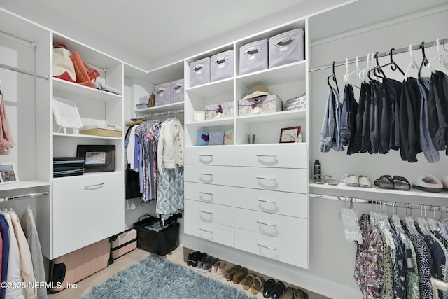 view of walk in closet