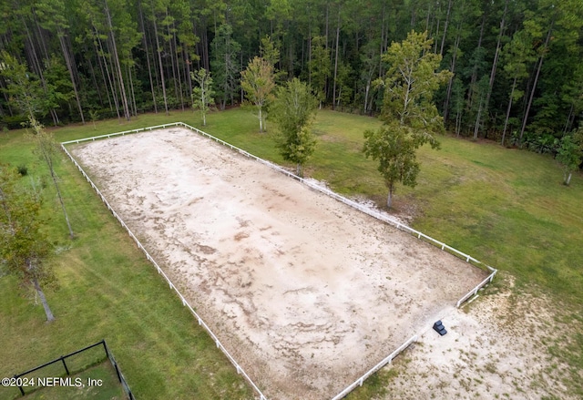 bird's eye view with a view of trees