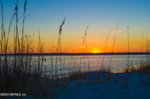 property view of water