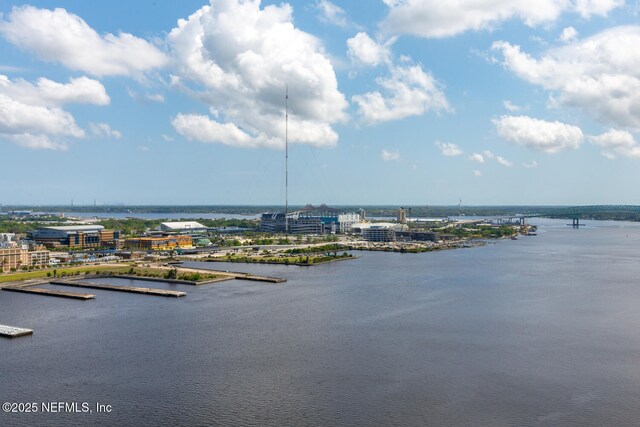 1431 Riverplace Blvd Unit 2606, Jacksonville, FL 32207 - view of water feature