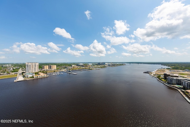 1431 Riverplace Blvd Unit 2606, Jacksonville, FL 32207 - property view of water with a city view