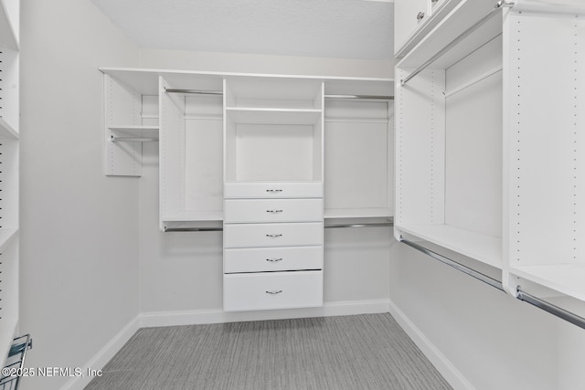 1431 Riverplace Blvd Unit 2606, Jacksonville, FL 32207 - walk in closet with light colored carpet