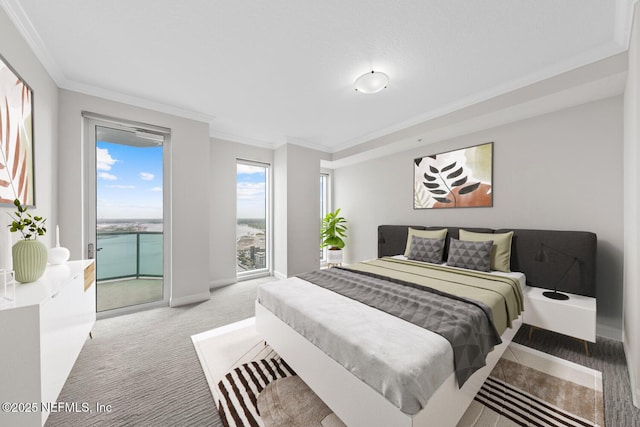 1431 Riverplace Blvd Unit 2606, Jacksonville, FL 32207 - bedroom featuring light carpet, baseboards, access to exterior, and ornamental molding