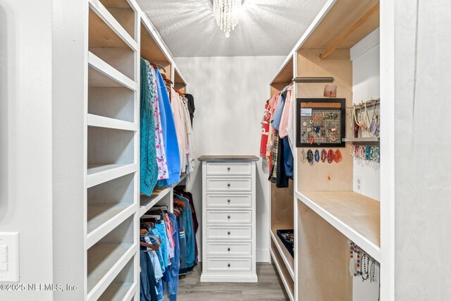 walk in closet featuring wood finished floors