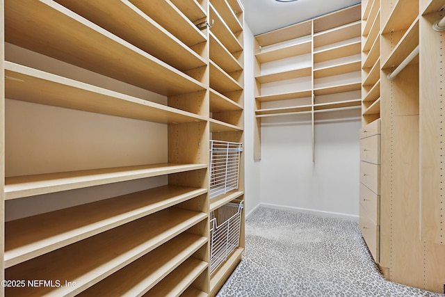 spacious closet with carpet floors