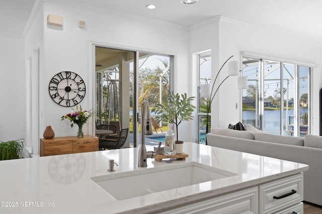 kitchen with crown molding, white cabinets, light stone countertops, and a sink