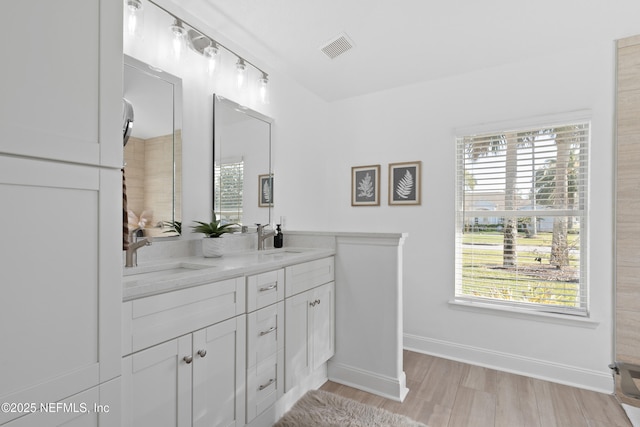 full bathroom with a sink, baseboards, wood finished floors, and double vanity