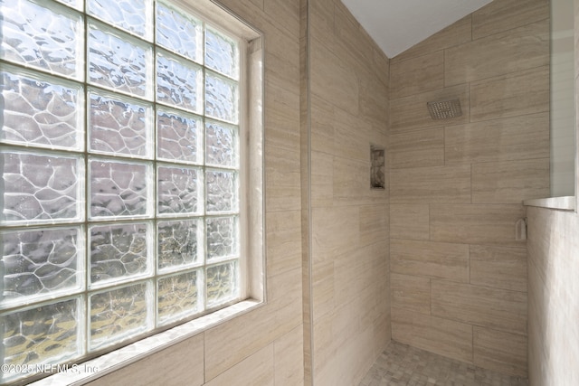 full bathroom with vaulted ceiling, a healthy amount of sunlight, and walk in shower