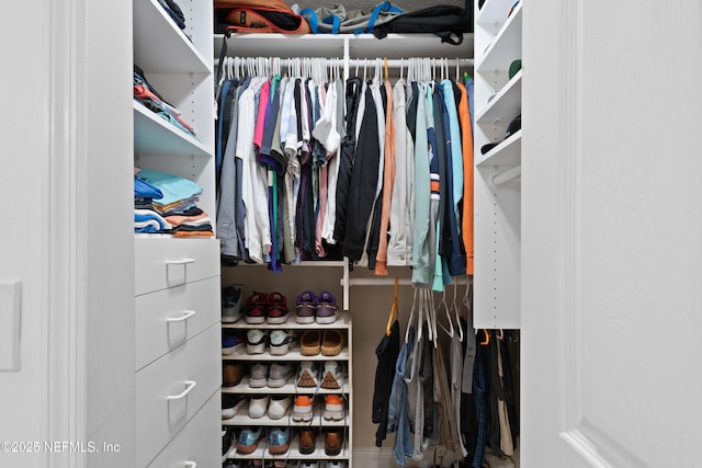 view of walk in closet