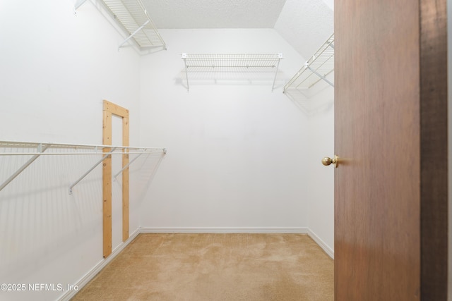 spacious closet featuring vaulted ceiling and light carpet