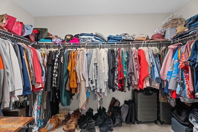 spacious closet with carpet floors