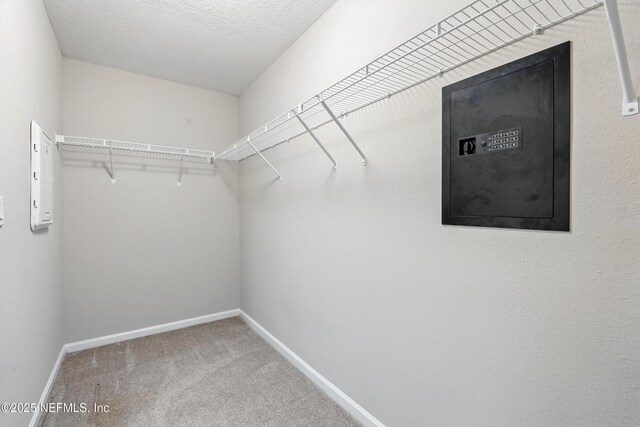 4819 Morning Rise Cir, Jacksonville, FL 32218 - photo 16
