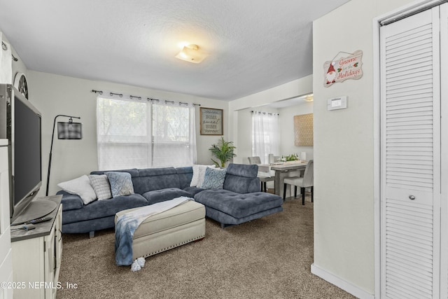 810 Calvert St, Jacksonville, FL 32208 - carpeted living room with baseboards and a textured ceiling
