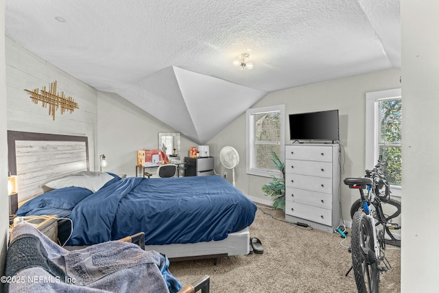 810 Calvert St, Jacksonville, FL 32208 - bedroom featuring lofted ceiling, a textured ceiling, and carpet