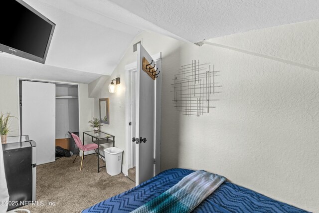810 Calvert St, Jacksonville, FL 32208 - bedroom with a textured wall, vaulted ceiling, a textured ceiling, carpet floors, and a closet