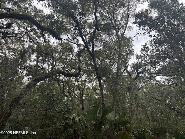 view of local wilderness featuring a wooded view