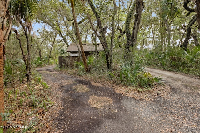 view of street featuring driveway