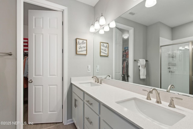 bathroom with a shower stall, a spacious closet, and a sink